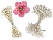 Flower Stamens